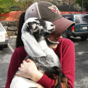 Meet your Posher, Ella